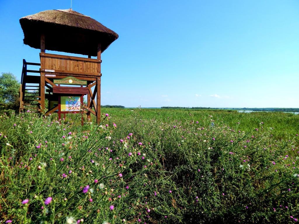 Wellness Apartments In Velence Dış mekan fotoğraf